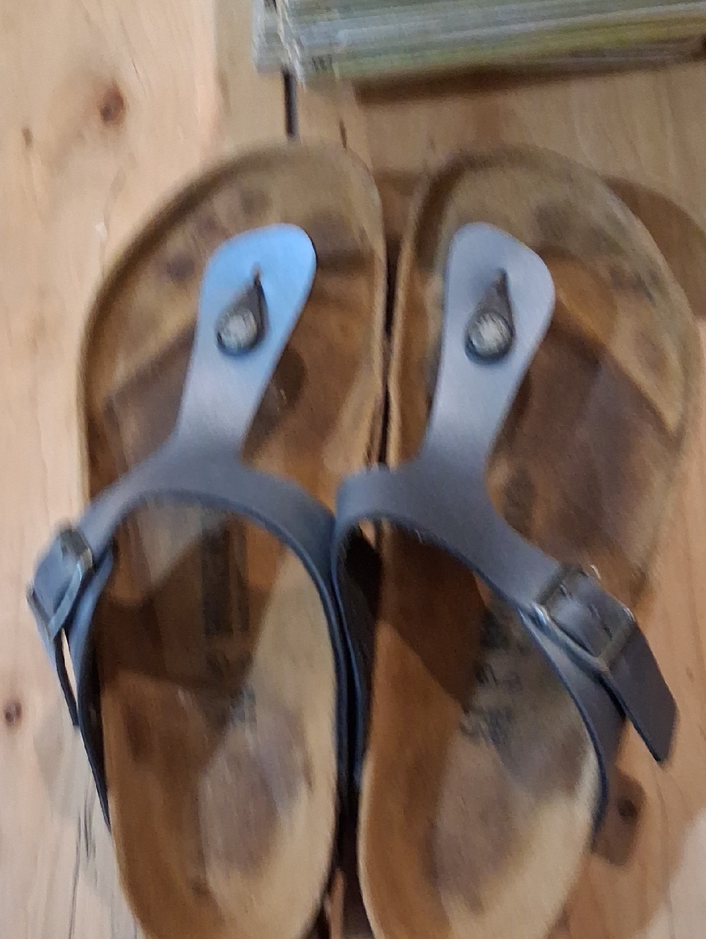 Birkenstock Sandals